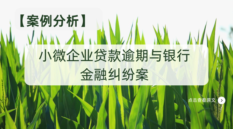 ����������С΢��ҵ�������������н��ھ��װ�